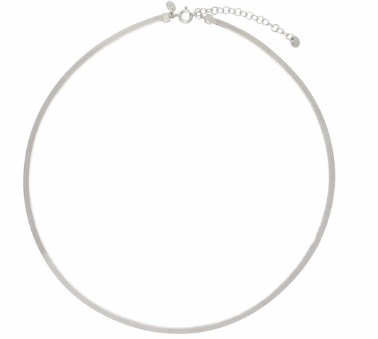 Silver Snake Necklace